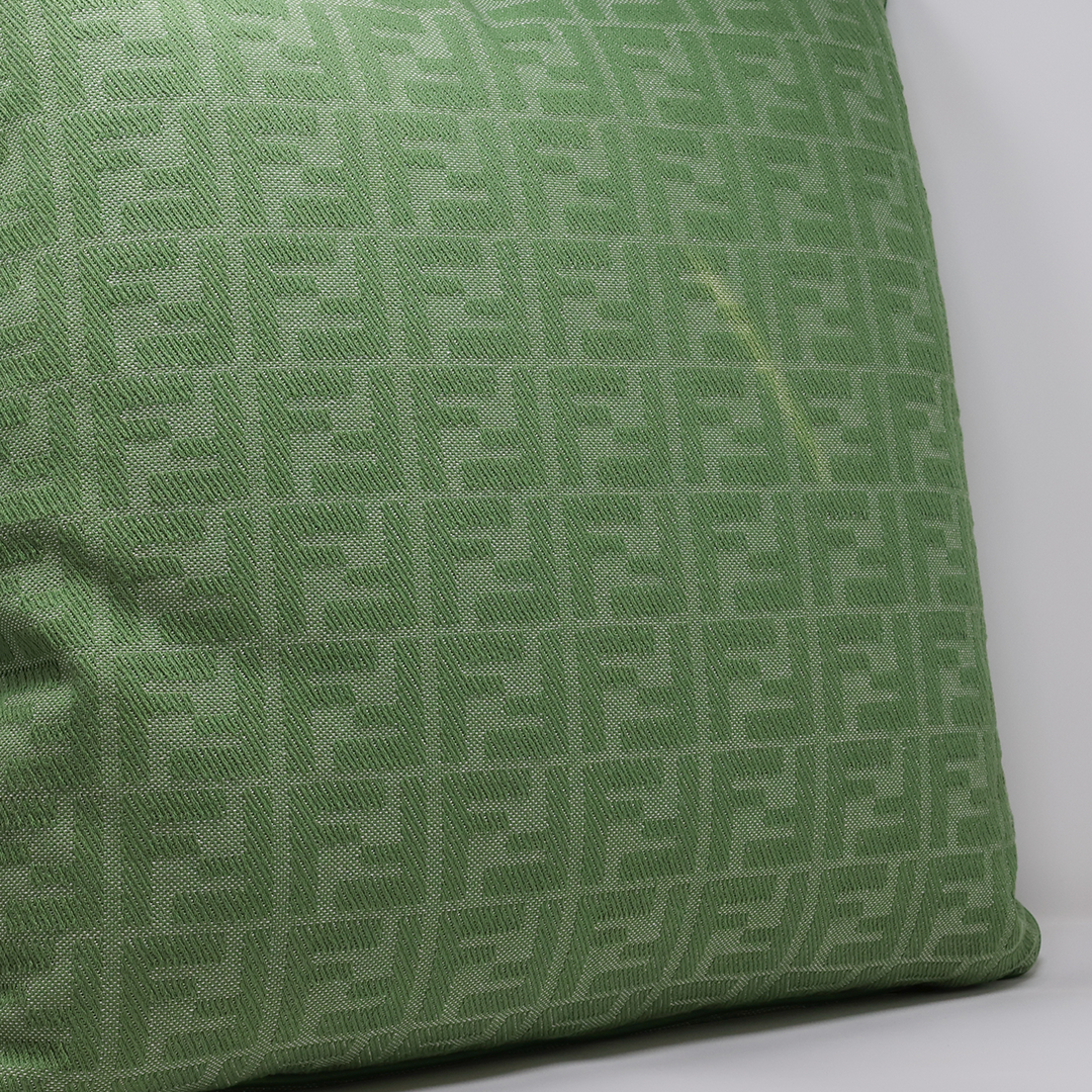 FF Relief Cushion - Pistacchio