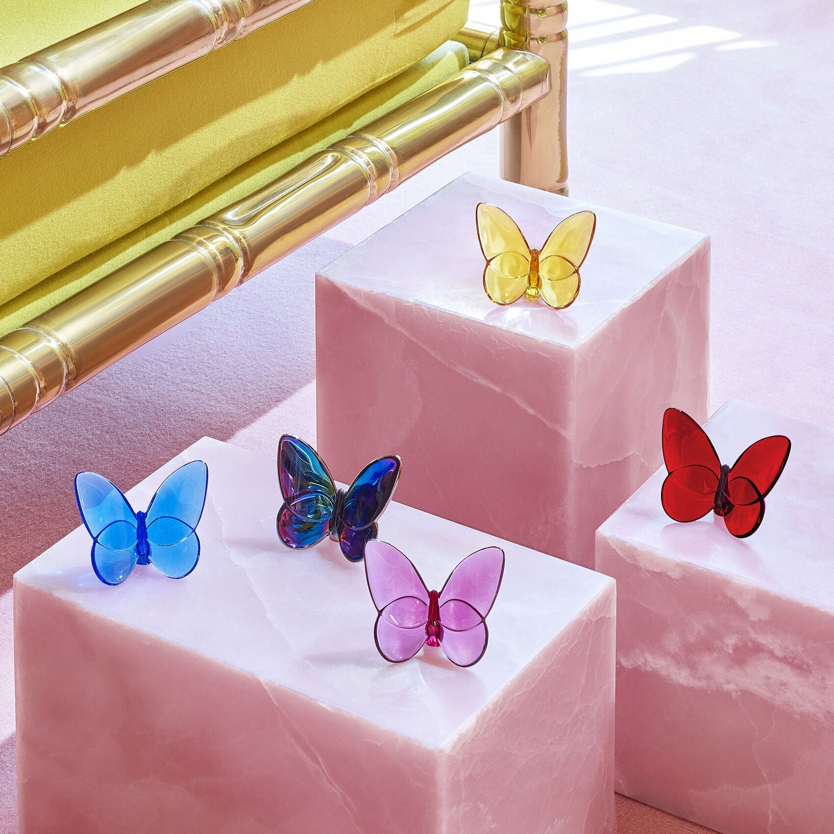 Papillon Lucky Butterfly Blue