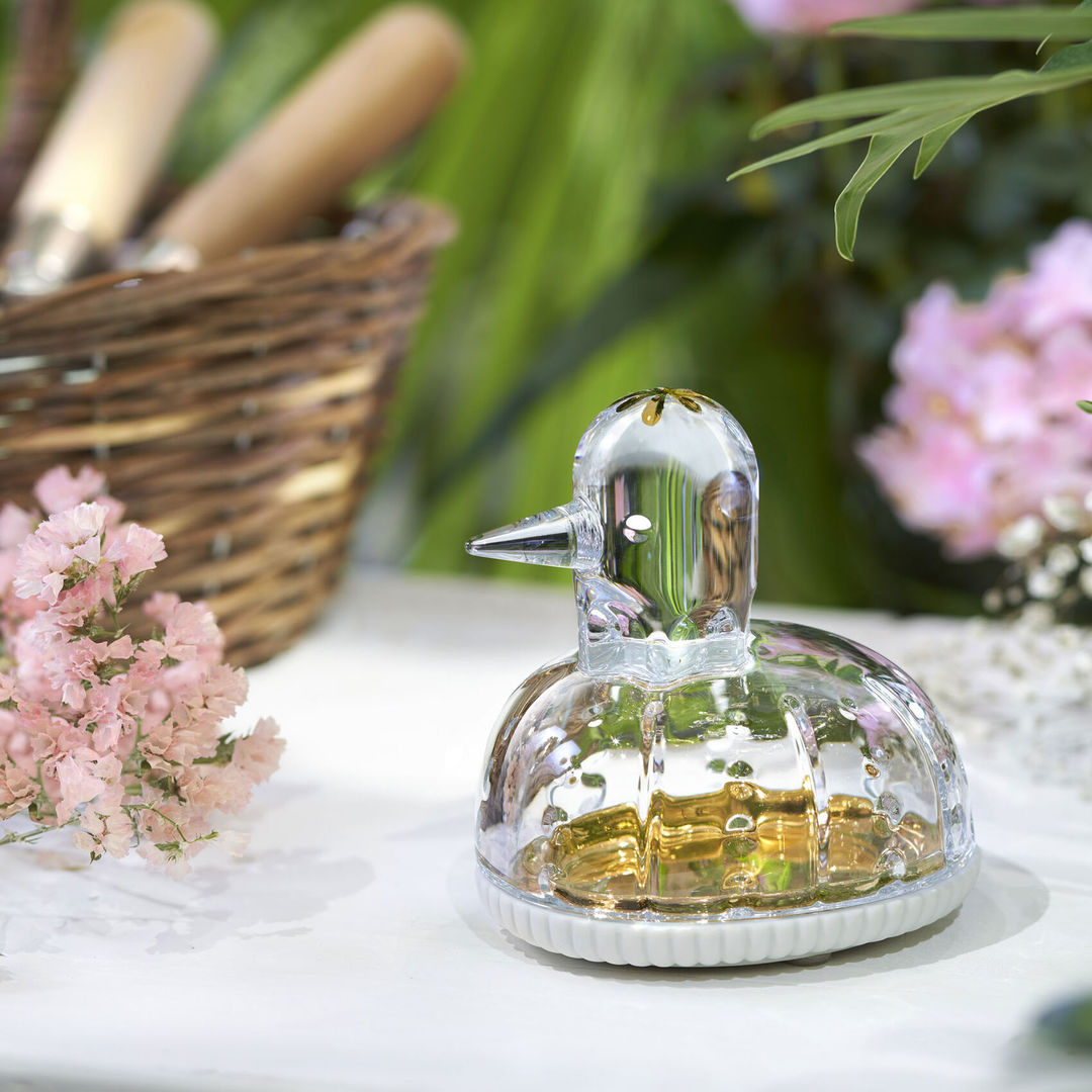 Zoo Duck Jewelry Box