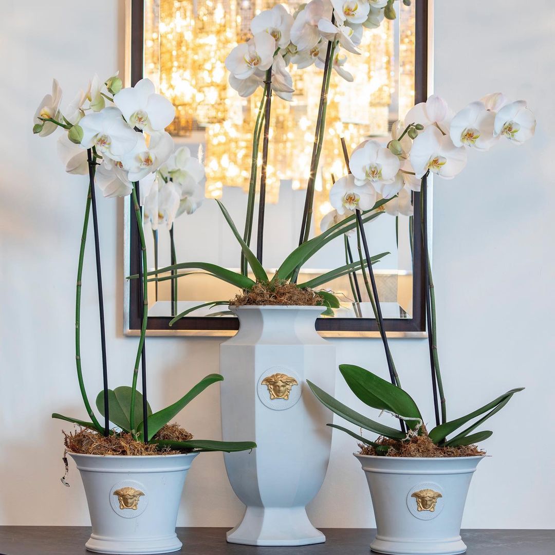 Gorgona Vase 55 cm